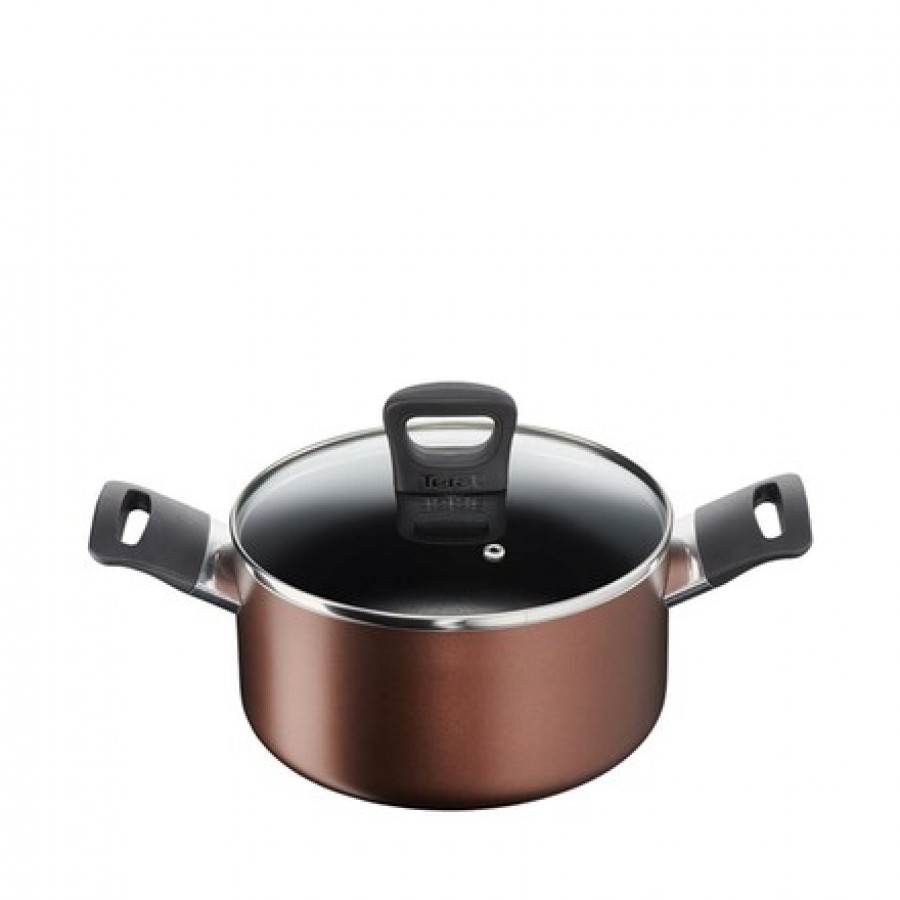 Tefal Super Cook Plus Stewpot/Biryani Pot 24 cm with Glass Lid