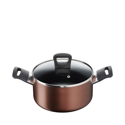http://www.lotezystore.com/image/cache/catalog/ltzstSajixyz364/Tefal/Tefal_Super_Cook_Plus_Stewpot_Biryani_Pot_24cm.jpg
